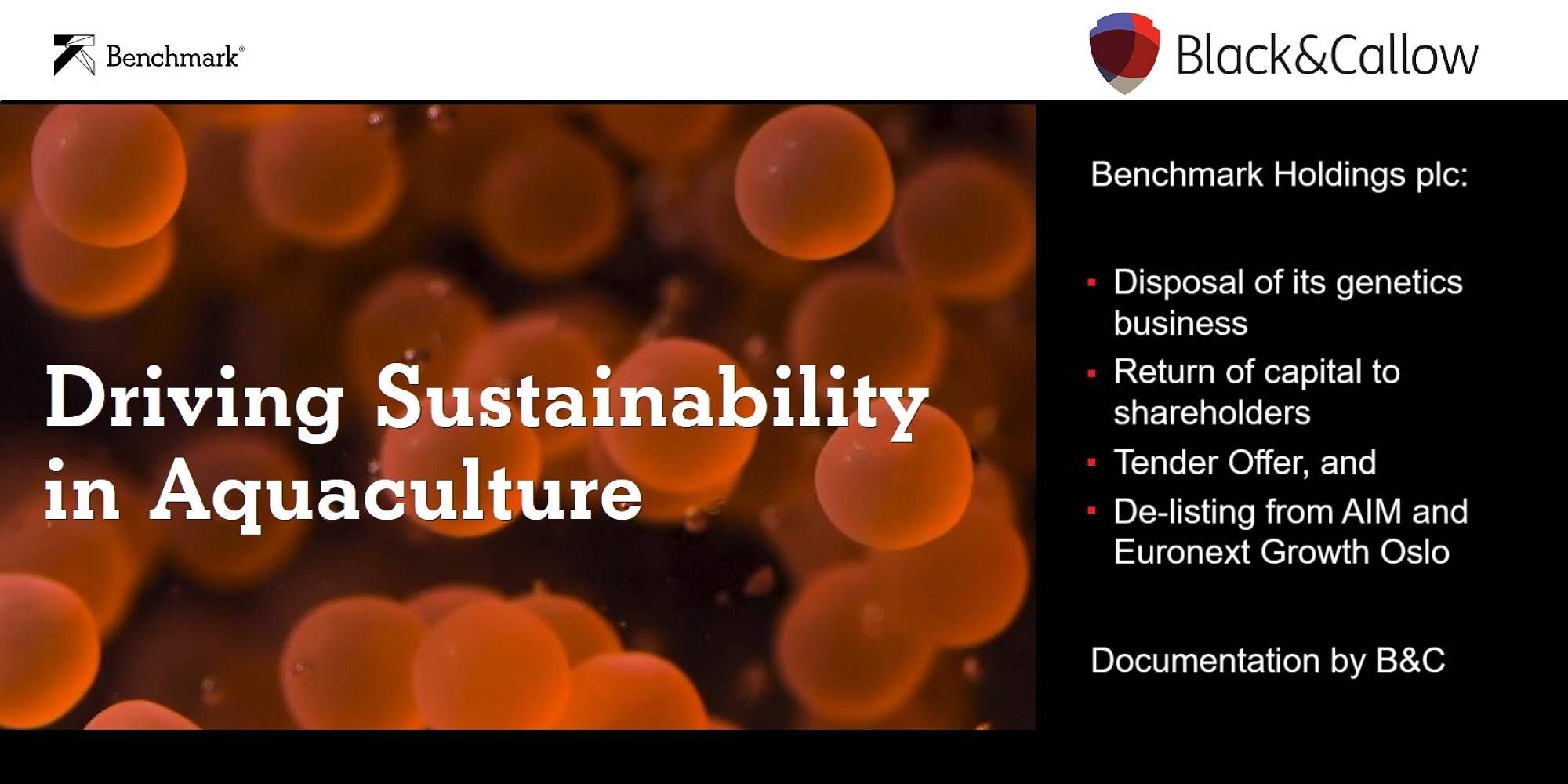 B&C helps Benchmark execute the next phase of its strategy