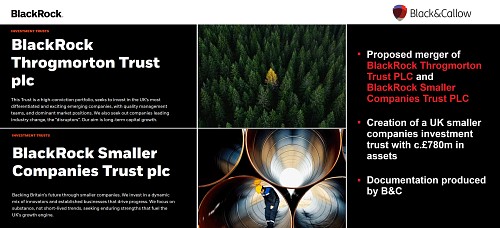 B&C helps BlackRock create a £780m smaller companies investment trust